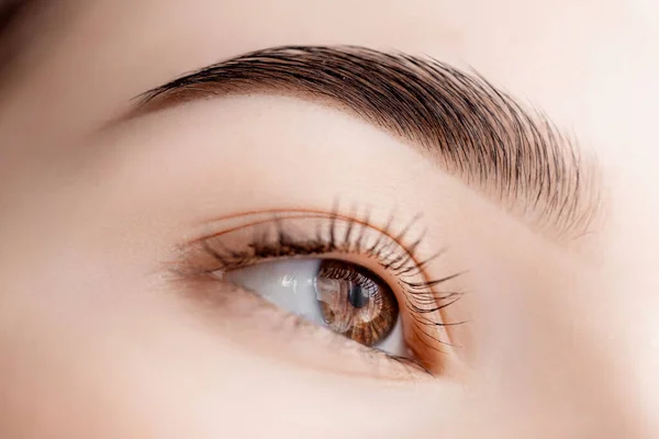 Junge Frau mit schönen Augenbrauen. Korrektur von Brauenhaaren im Schönheitssalon — Stockfoto