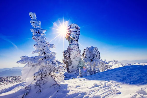 Schöner Winterblick im Traum, schneebedeckte Fichten und gefrorene Steilküste mit blauem Himmel mit Sonnenlicht — Stockfoto