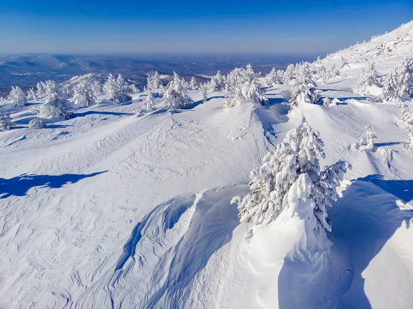 Tundra Eisige Bäume nach starkem Wind und Frost gegen blauen Himmel, Schneesturm — Stockfoto