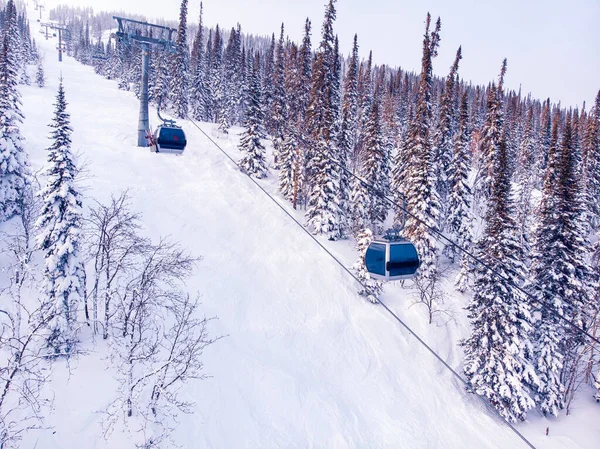 Wyciągi narciarskie Góry zimowe z zaśnieżonym lasem, widok z góry — Zdjęcie stockowe