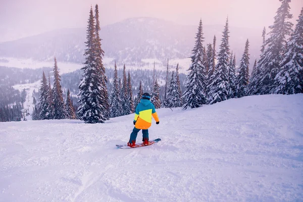 Сноубордист їде на схилі з засніженим лісом, захід сонця на гірськолижному курорті Шерегеш — стокове фото