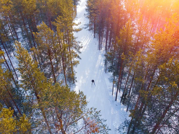 Homem atleta treina esqui cross-country no inverno em pista coberta de neve na floresta — Fotografia de Stock