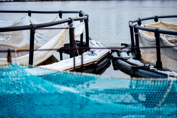 Ferme piscicole pour la reproduction de la truite arc-en-ciel et des alevins dans des cages en filet. Concept aquaculture pisciculture — Photo