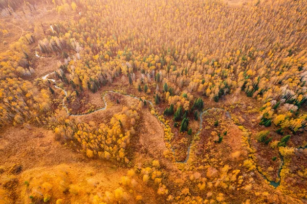 Herbst-Waldlandschaft bei Sonnenuntergang mit gewundenen Fluss zwischen Hügeln, Luftaufnahme — Stockfoto