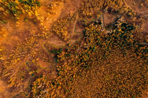 Paesaggio autunno foresta gialla con fiume tortuoso con luce del sole, Vista aerea dall'alto — Foto Stock