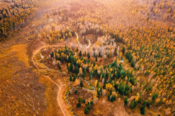 Herbst-Waldlandschaft bei Sonnenuntergang mit gewundenen Fluss zwischen Hügeln, Luftaufnahme — Stockfoto