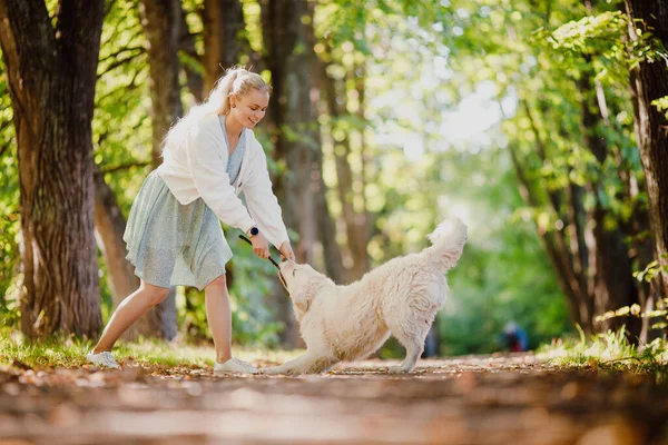 Caminhada feliz com seu amado animal de estimação na floresta de outono. Jovem mulher no vestido está jogando com Labrodor Golden Retriever — Fotografia de Stock