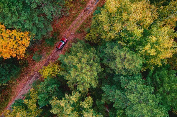Aerial top view travel drive φθινοπωρινή διαδρομή στο κίτρινο δάσος, έννοια του ταξιδιού με κόκκινο αυτοκίνητο — Φωτογραφία Αρχείου