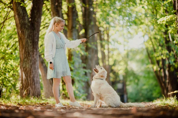 Jonge vrouw traint hond met golden retriever te volgen bevel om te zitten en vangen stok — Stockfoto