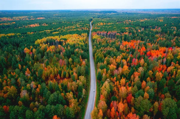 Luftaufnahme Reise fahren Herbst Straße in gelbem Wald, Konzept der Reise mit rotem Auto — Stockfoto