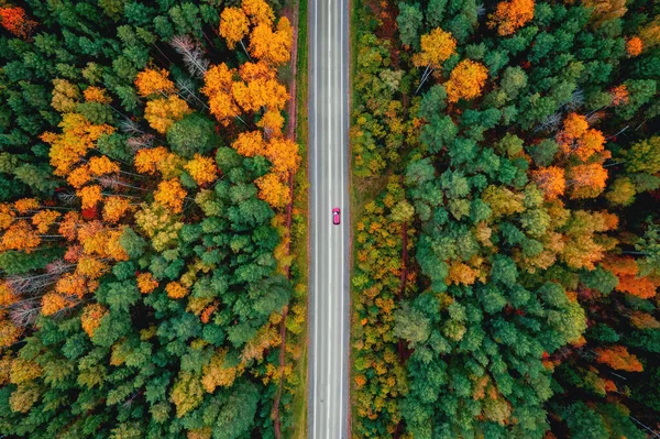 숲 속의 가을 도로, 붉은 자동차 공중에서 본 여행의 개념 — 스톡 사진