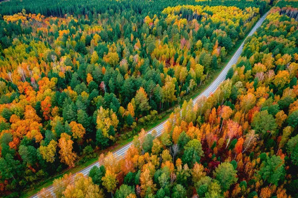 Aerial top view Φύση φθινοπωρινό δρόμο στο κίτρινο δάσος, έννοια του ταξιδιού με κόκκινο αυτοκίνητο — Φωτογραφία Αρχείου