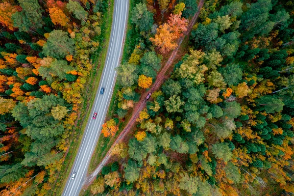 Luftaufnahme Reise Herbst-Rennfahrer im gelben Wald, Konzeptfahrt mit dem Auto — Stockfoto