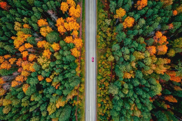 Осіння дорога в лісі, концепція подорожі червоним автомобілем вид зверху Стокова Картинка