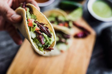 Meksika yemeklerinde geleneksel olarak Meksika usulü Meksika usulü Meksika usulü Meksika usulü ev yapımı guacamole soslu taco ya da çekirge taco.