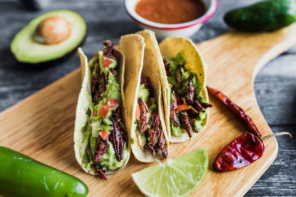 Tacos Chapulines Tacos Saltamontes Tradicionales Comida Mexicana Con Salsa Casera —  Fotos de Stock