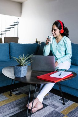 Latin Amerika 'da ev ofis kavramında internetteki bir video görüşmesinde çalışan ya da çalışan genç İspanyol kadın.