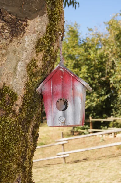 Caja de aves — Foto de Stock