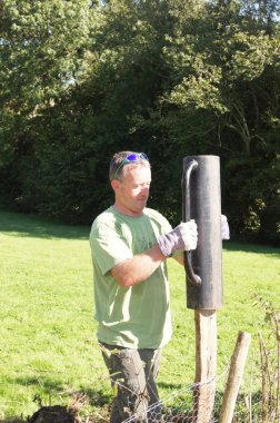 bir sonrası sürüş