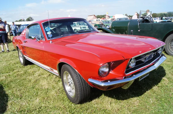 Klasyczny amerykański mustang — Zdjęcie stockowe