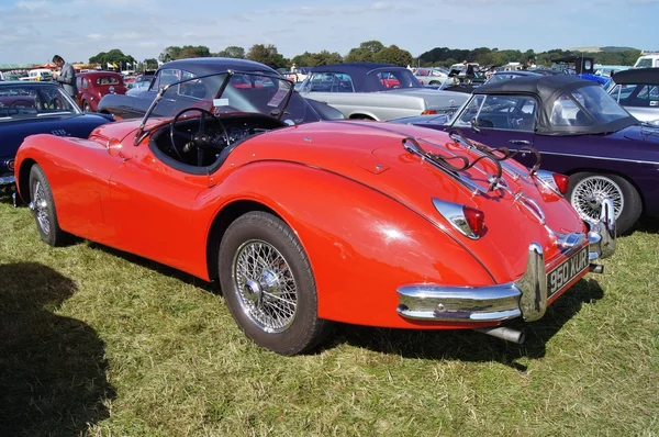 Jaguar Xk140 — Zdjęcie stockowe