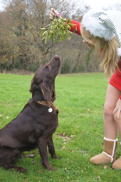 Kissing under the mistletoe — Stock Photo, Image