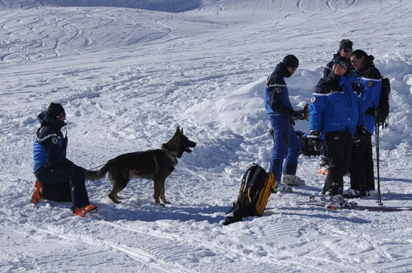 Avalanche Training — Fotografie, imagine de stoc