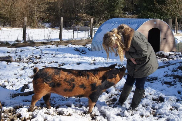 Girl and Pig — Stock Photo, Image