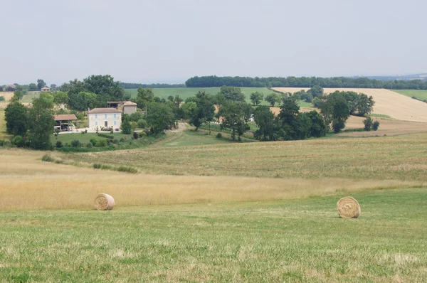 Rural farm — Stock Photo, Image