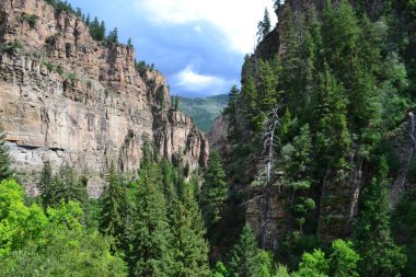 şaşırtıcı colorado