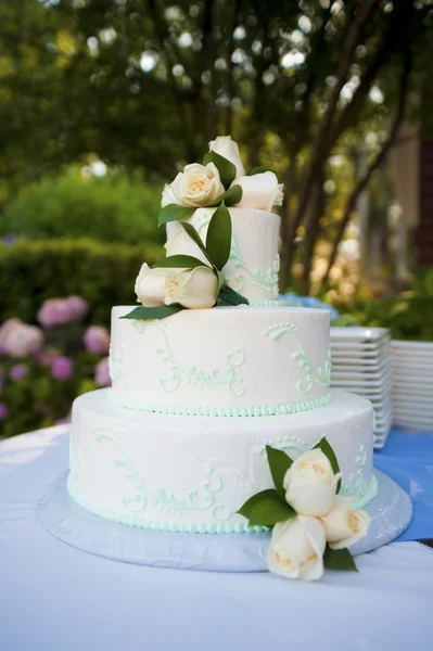 Gâteau de mariage — Photo