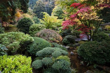 Japon bahçesi, portland, oregon
