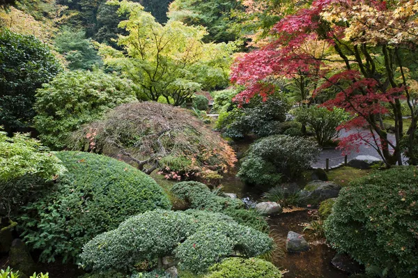 일본 정원, 포틀랜드, 오 레 곤 — 스톡 사진