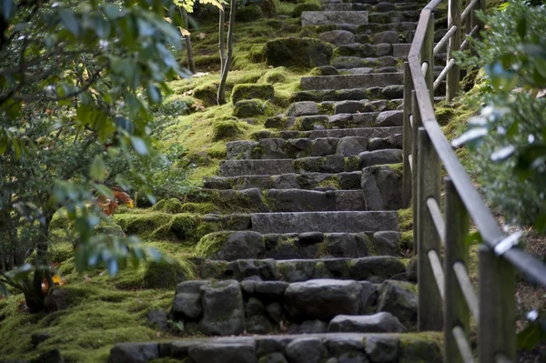 Rustykalne schody — Zdjęcie stockowe