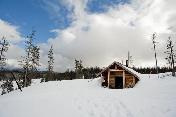 Снежный домик — стоковое фото