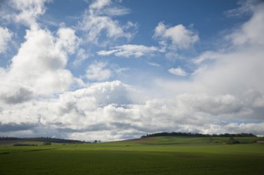 Bahar tarım alanları