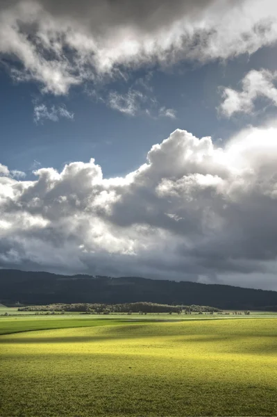 Champs agricoles de printemps — Photo