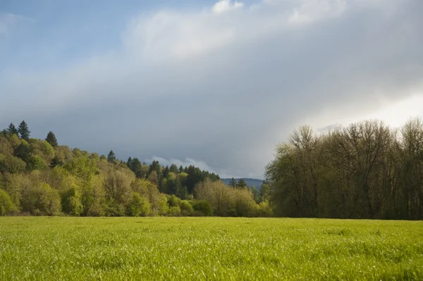 Jarní zemědělská pole — Stock fotografie