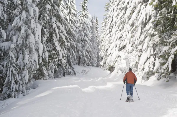 Persoon Sneeuwschoenwandelen in winterlandschap — Stockfoto
