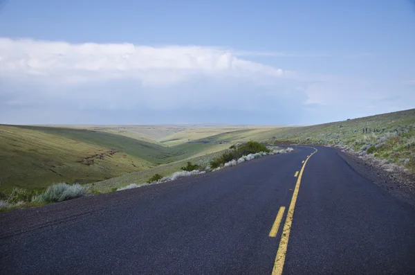 Paved rural road — Stock Photo, Image