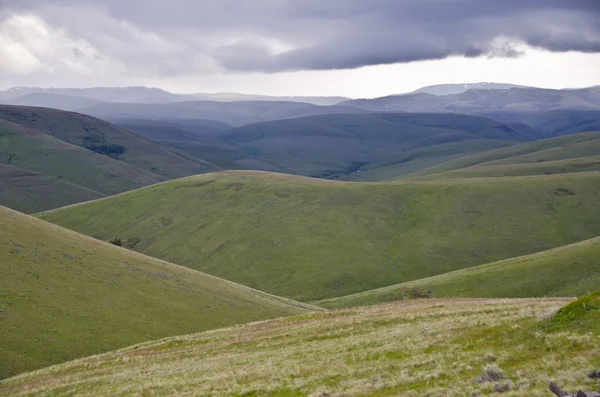 Green hills below storm clouds — Stock Photo, Image