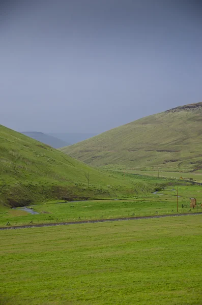 Green hills below storm clouds Royalty Free Stock Images