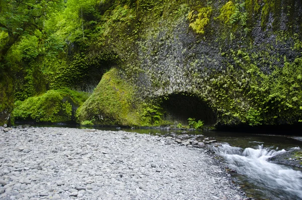 Клиффс, Игл-Крик, ущелье реки Колумбия — стоковое фото