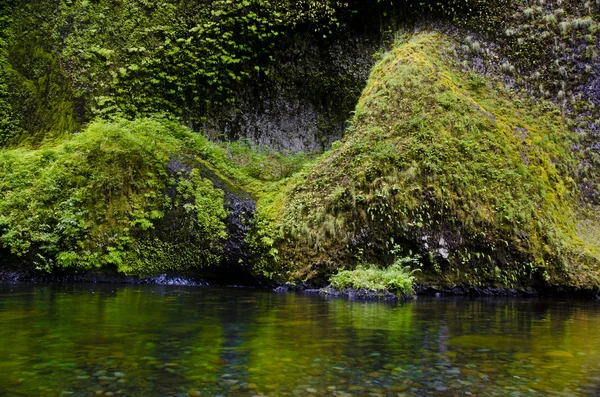 Uçurumlar, eagle creek, columbia river gorge — Stok fotoğraf
