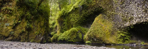 Útesy, eagle creek, columbia river gorge — Stock fotografie