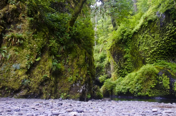 Klify, eagle creek, columbia river gorge — Zdjęcie stockowe