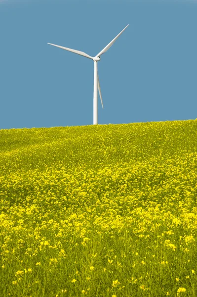 Turbinas eólicas en un campo de flores amarillas — Foto de Stock