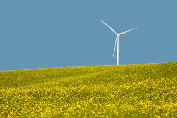Turbine eoliche in un campo di fiori gialli — Foto Stock