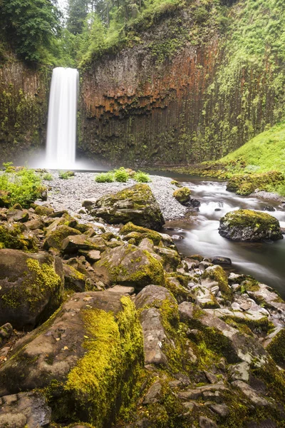 Pacific Northwest waterfall — Stock Photo, Image