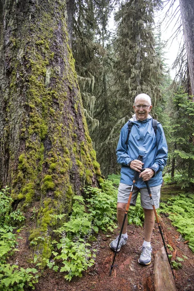 Senior homme actif randonnée — Photo